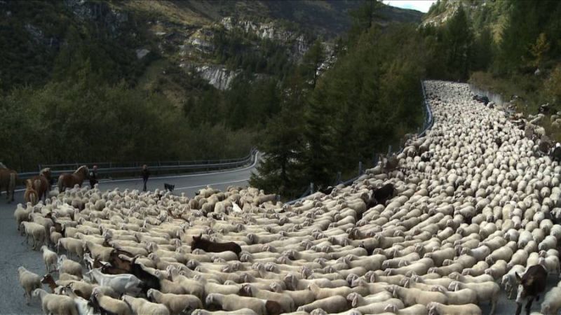 Tempo di Migrar 2026