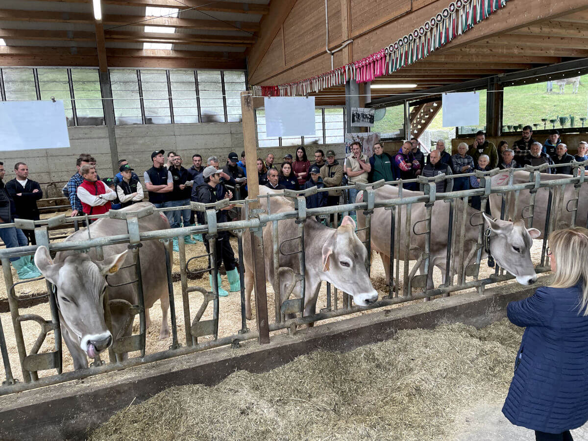 Giornata della Bruna - Azienda Agricola Giannoni