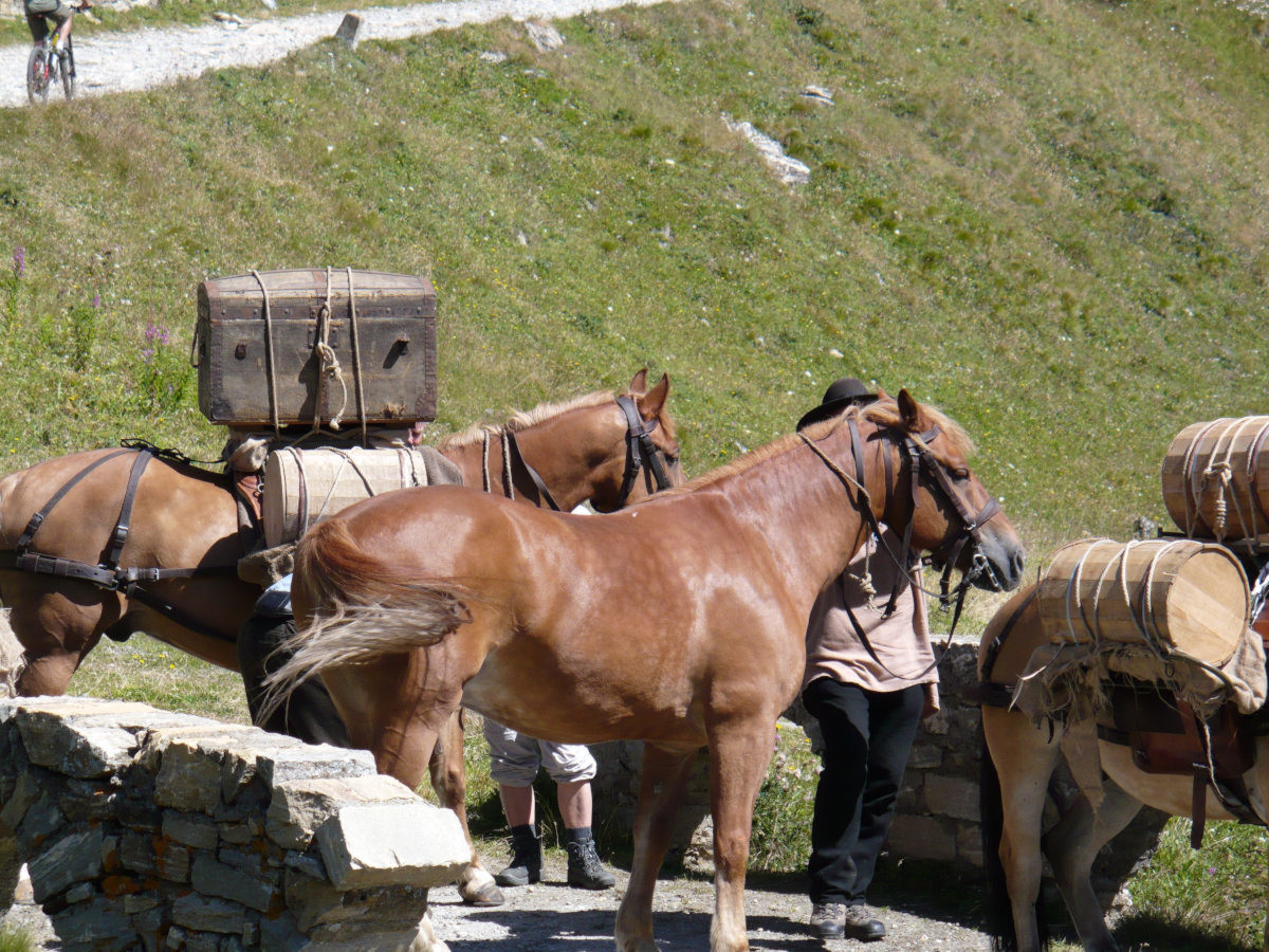 Sosta al Toggia