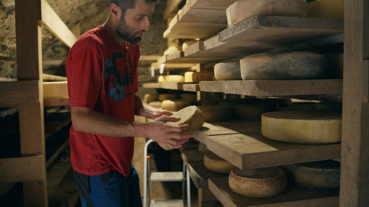 Damiano Marta In Cantina