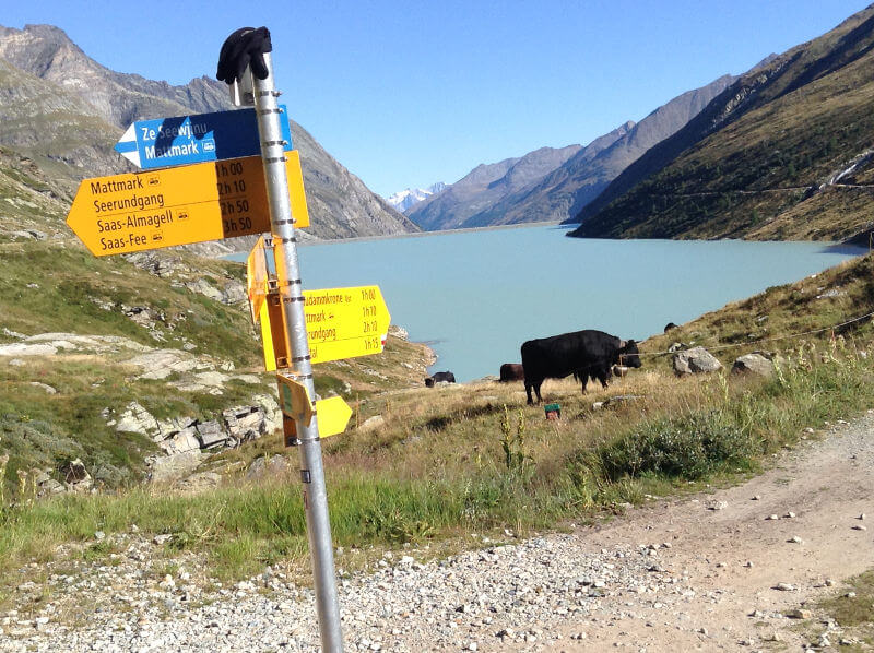 Il Lago Mattmark