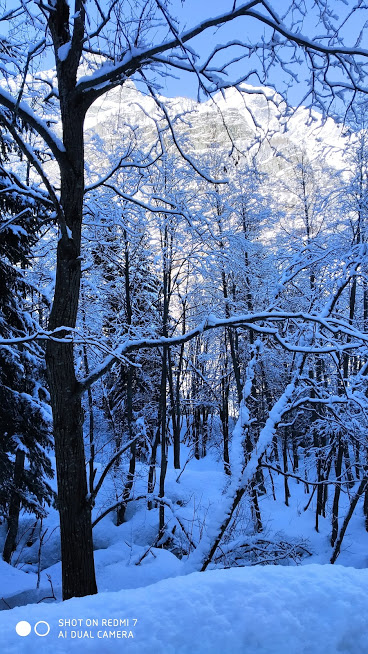 Giornata Nazionale Della Neve