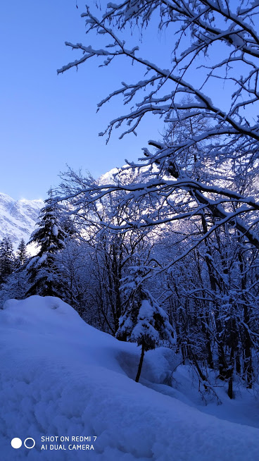 Giornata Nazionale Della Neve