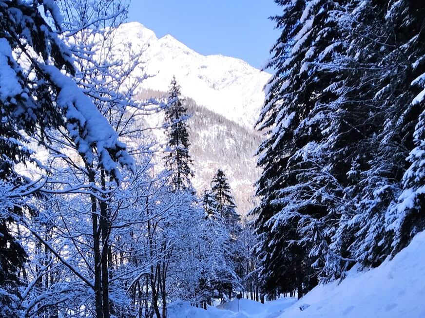 Giornata Nazionale Della Neve