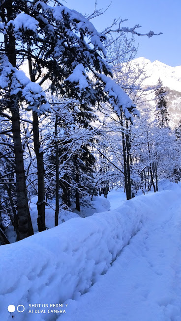 Giornata Nazionale Della Neve