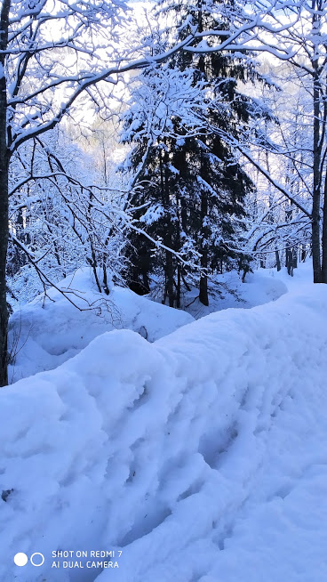 Giornata Nazionale Della Neve