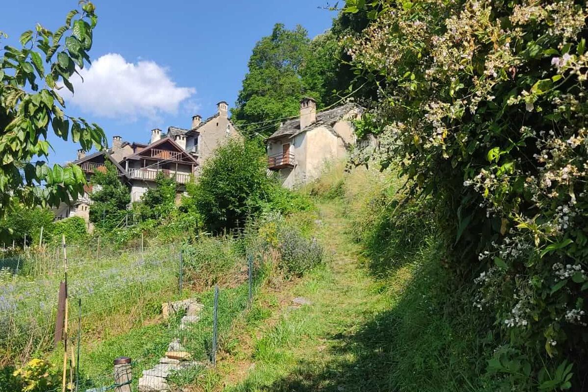 Le Fatiche della Val Divedro. Il circuito di gare di corsa in montagna