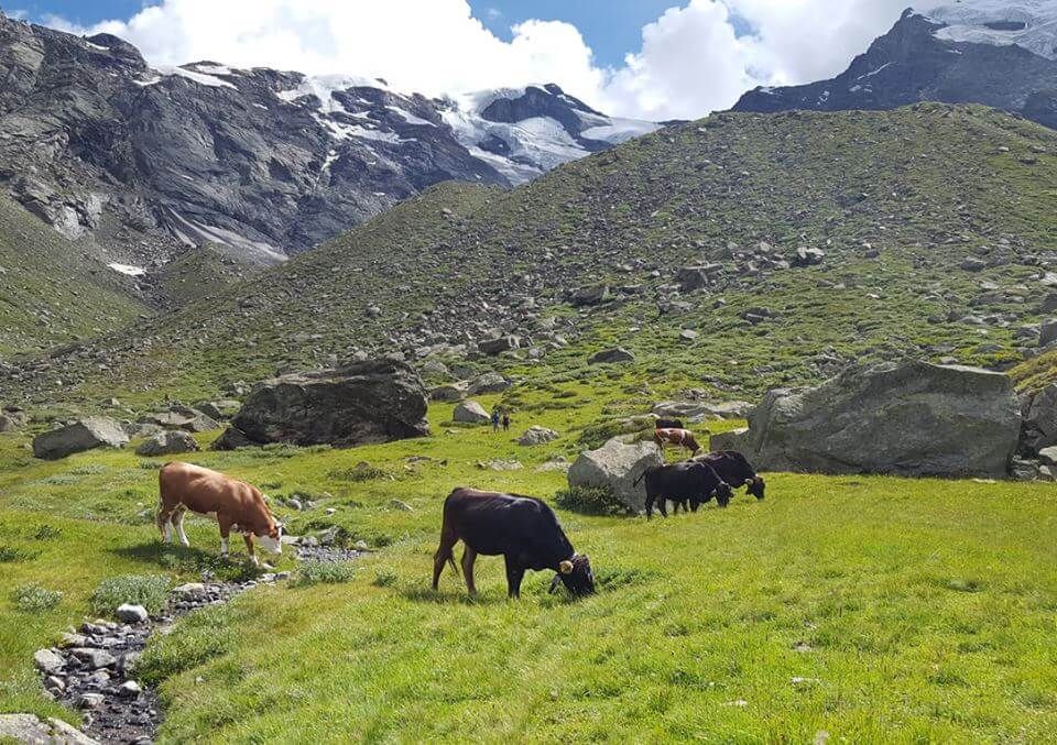 Chiusa la stagione estiva al rifugio Zamboni-Zappa