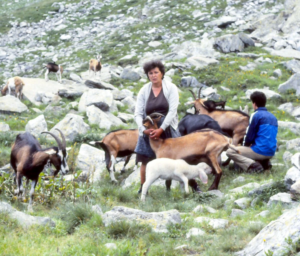 La famiglia Chiarinotti all’alpe Lavazzero