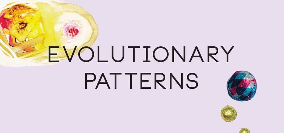 Enrica Borghi, alla mostra “Evolutionary patterns”