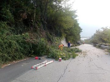 Giornata ecologica sulla Provinciale 66 a Piedimulera