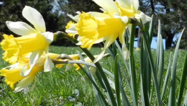 Con il Cai Macugnaga nel Parco del Beigua